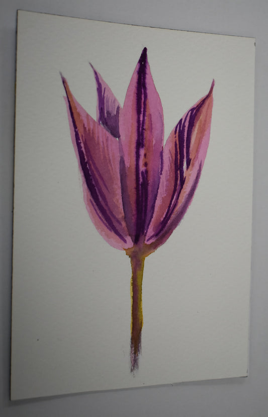 10. Tulip